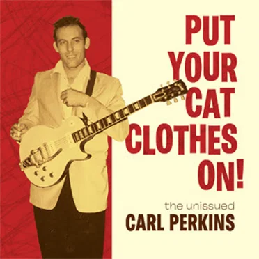 Put Your Cat Clothes On!