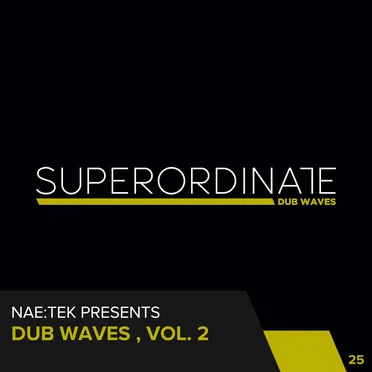 Dub Waves, Vol. 2 by Various Artists - album cover