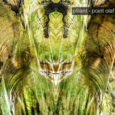 Point Olaf by Pliiant - album cover