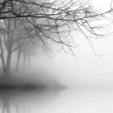 WHITE Winter by Elio Varesse - album cover