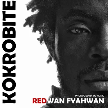 Redwan Fyahwan