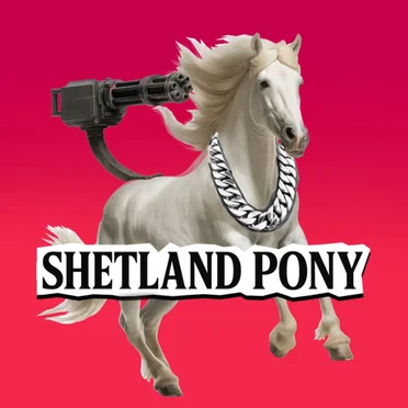 Shetland Pony by Nine and Dex - album cover