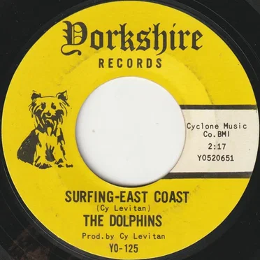 Surfing-East Coast / I Should Have Stayed