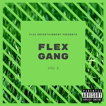 Flex Gang, Vol. 3 by Various Artists - album cover
