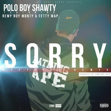 Sorry (remix)