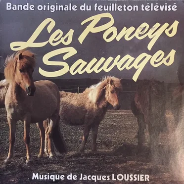 Les poneys sauvages