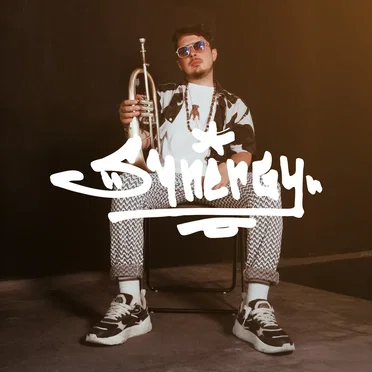 Synergy