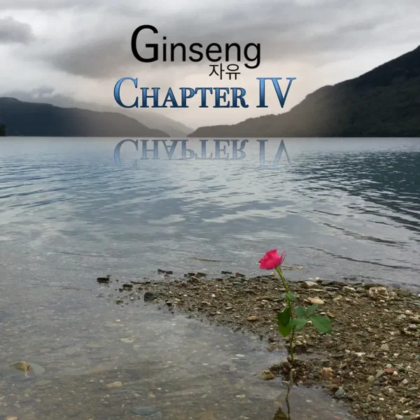 Chapter IV