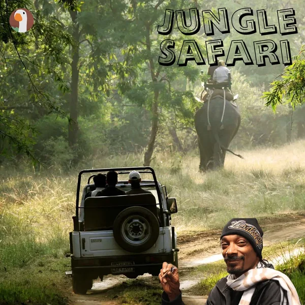 Jungle Safari