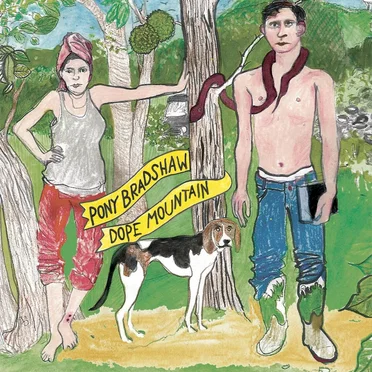 Dope Mountain by Pony Bradshaw - album cover