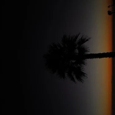 0291