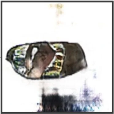 field recordings of a radio wave as it lives, grows, and dies by •••// •/ // •//• • •/• ••• /// /• - album cover