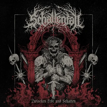 Zwischen Erde und Schatten by Schattenfall - album cover
