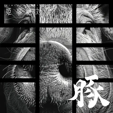 豚