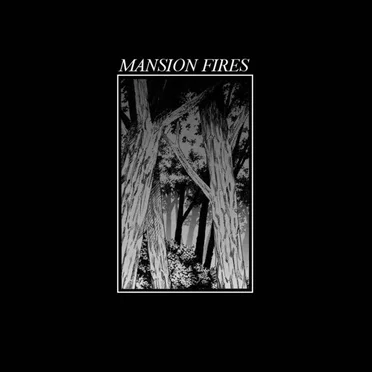 METEOR FOREST by MANSION FIRES - album cover