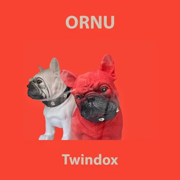 Twindox