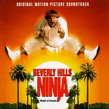 Beverly Hills Ninja by Various Artists - album cover