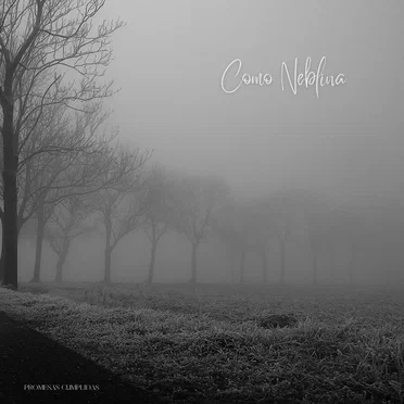 Como Neblina by Promesas Cumplidas - album cover