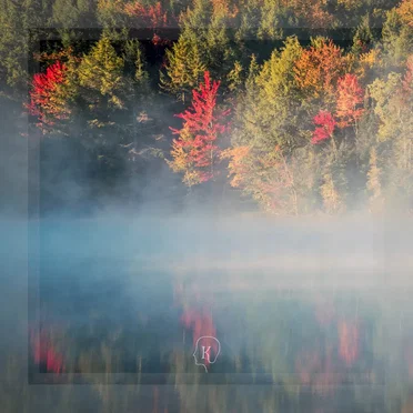 Seasons