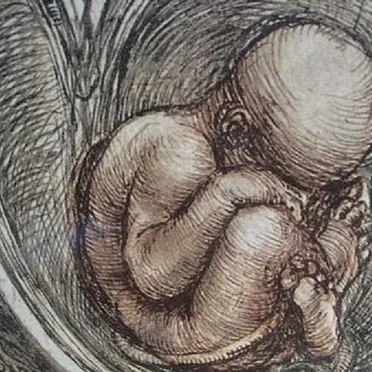 Foetal Thoughts