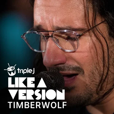 Talk is Cheap by Timberwolf - album cover