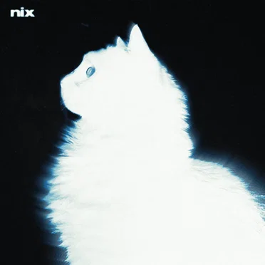Feelings,Thoughts And Bleeding Minds by Nix - album cover