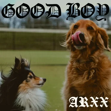 Good Boy
