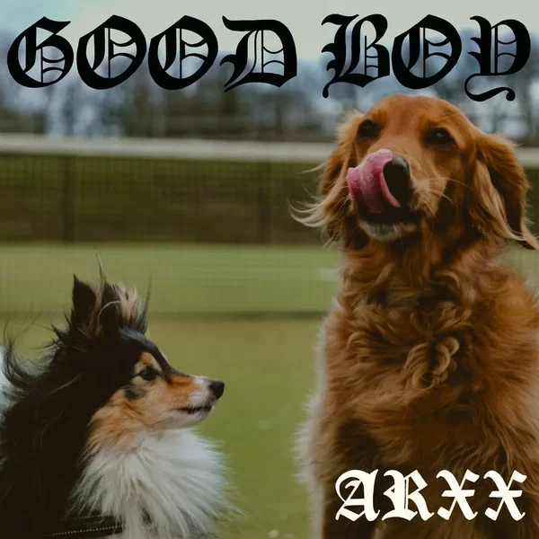 Good Boy