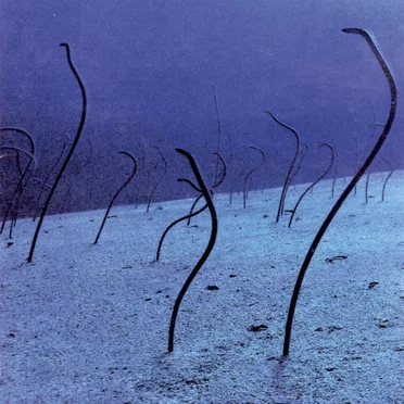 Ondina by Sr. Chinarro - album cover
