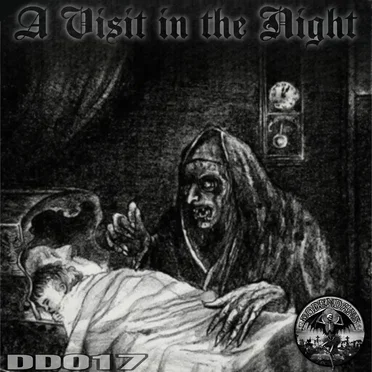 A VISIT IN THE NIGHT by Various Artists - album cover
