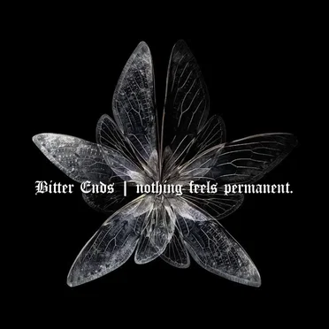 nothing feels permanent.