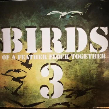Birds of a Feather Flock Together 3 by Various Artists - album cover