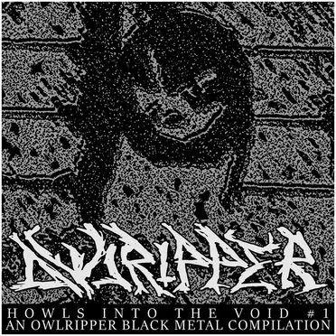Howls Into the Void 1 by Various Artists - album cover