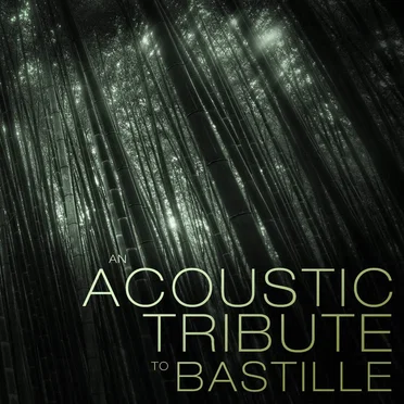 Acoustic Tribute To Bastille by Dandelion Fly - album cover