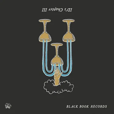 Black Book ID's: Chapter 3 by Various Artists - album cover