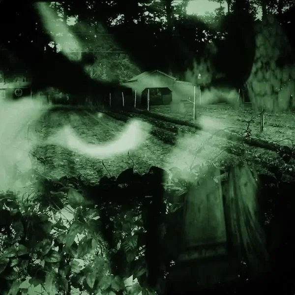 Dissociated