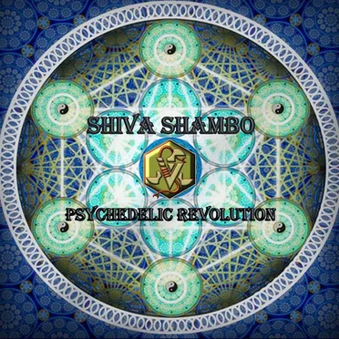 Psychedelic Revolution
