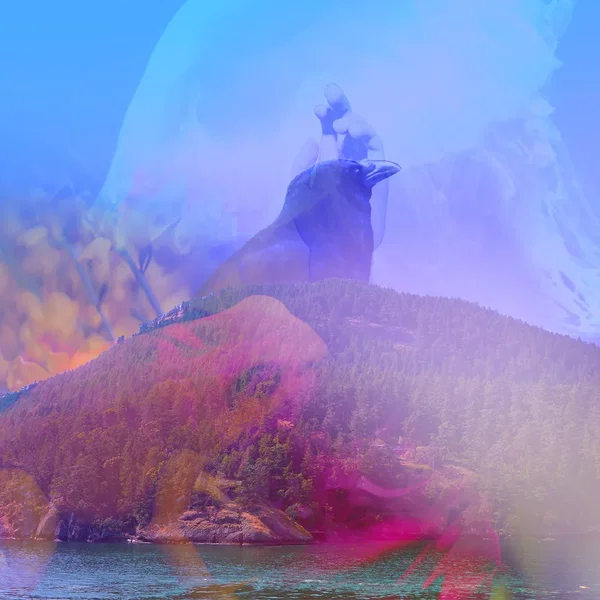 Fantasy