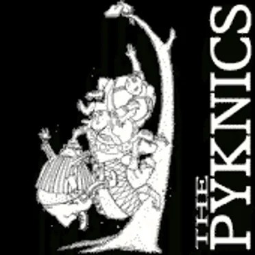 The Pyknics by The Pyknics - album cover