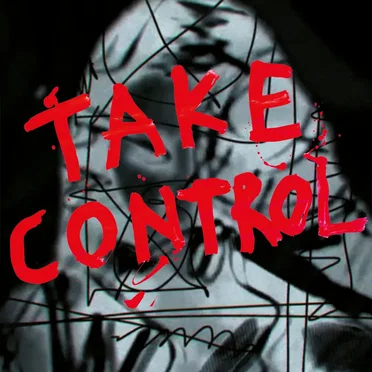 Take Control by The Mysterines - album cover