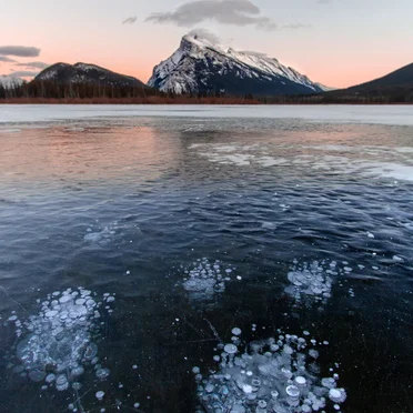 The Isolation Concerts, Volume 8