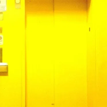 The Yellow by Zac Maloy - album cover