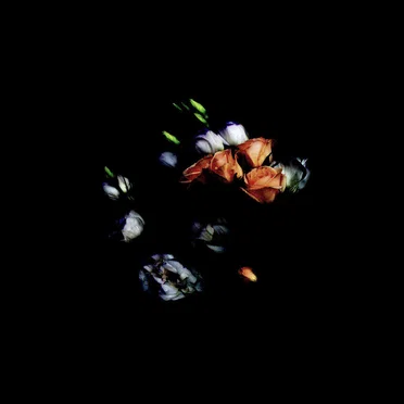 Hollow by Shyqa - album cover