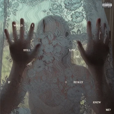 Would I Still Love Me If I Really Knew Me? (live from California)