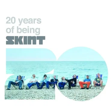 20 Years of Being Skint by Various Artists - album cover