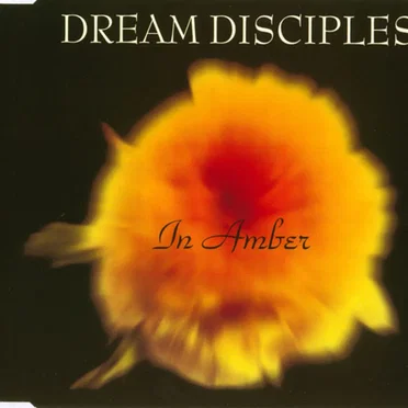 In Amber