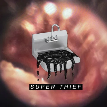 Dump Sink by Super Thief - album cover