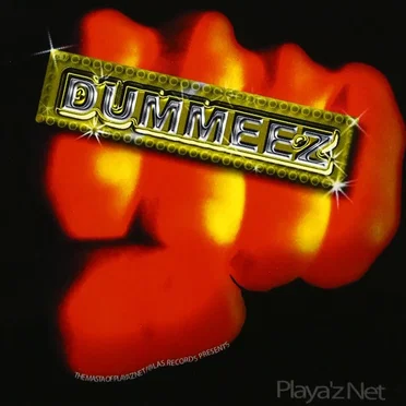 PLAYA’Z NET by DUMMEEZ - album cover