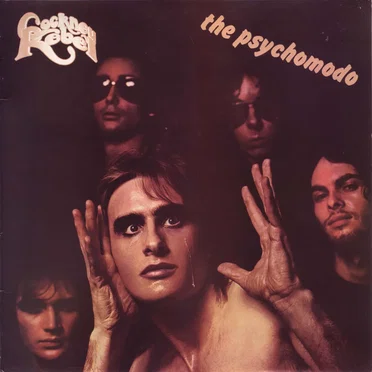 Steve Harley & Cockney Rebel