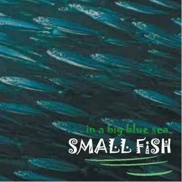 ...In A Big Blue Sea by Small Fish - album cover